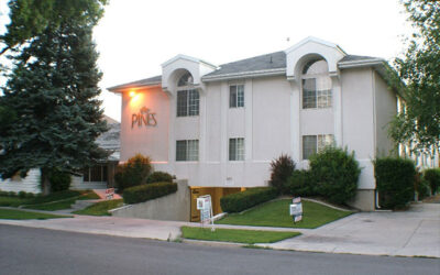 The Pines