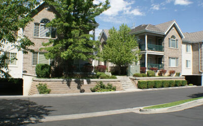 Canyon Brook