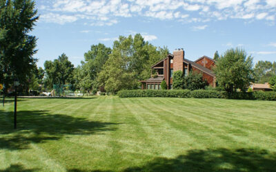 Marrcrest